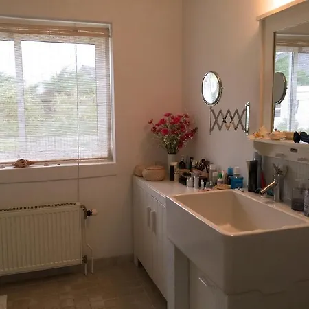 Zeevogel Xs * Bergen aan Zee
